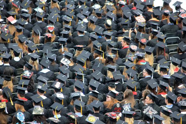 Graduate Success