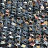 Graduate Success